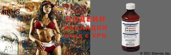 ПСИЛОЦИБИНОВЫЕ ГРИБЫ Горнозаводск