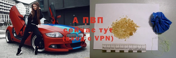 ПСИЛОЦИБИНОВЫЕ ГРИБЫ Горнозаводск