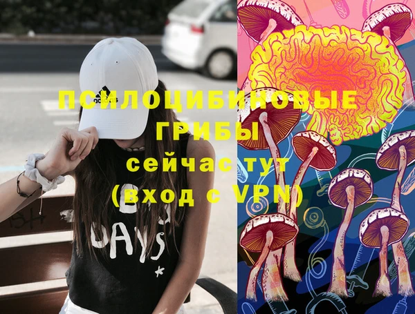 ПСИЛОЦИБИНОВЫЕ ГРИБЫ Горнозаводск