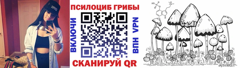 Купить закладки  Кириллов  Галлюциногенные грибы GOLDEN TEACHER 