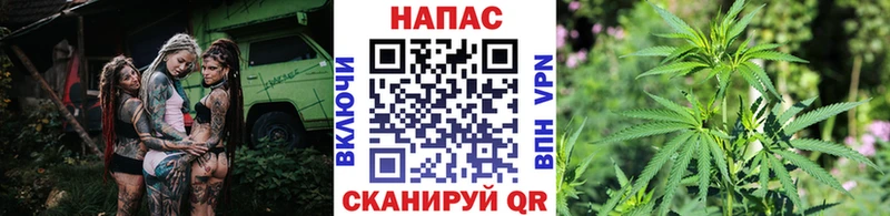 Купить  Кириллов  Марихуана конопля 